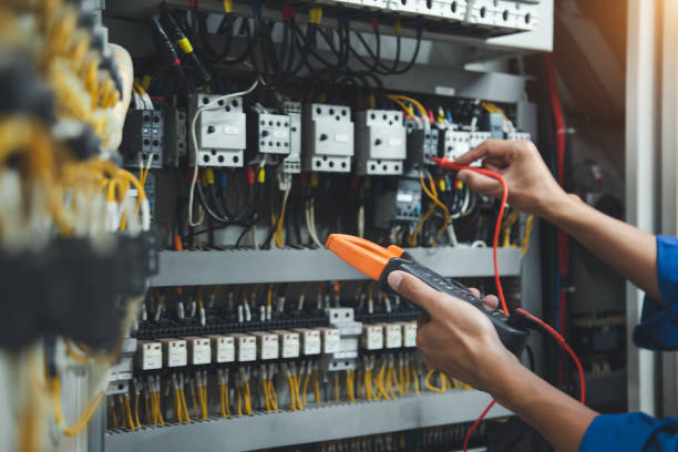 Best Home Electrical Repair  in Rio, WI
