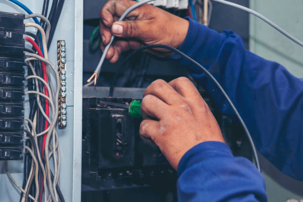 Best Ceiling Fan Installation Electrician  in Rio, WI